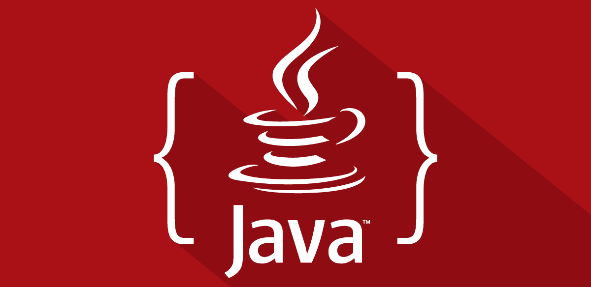 Por que Java?